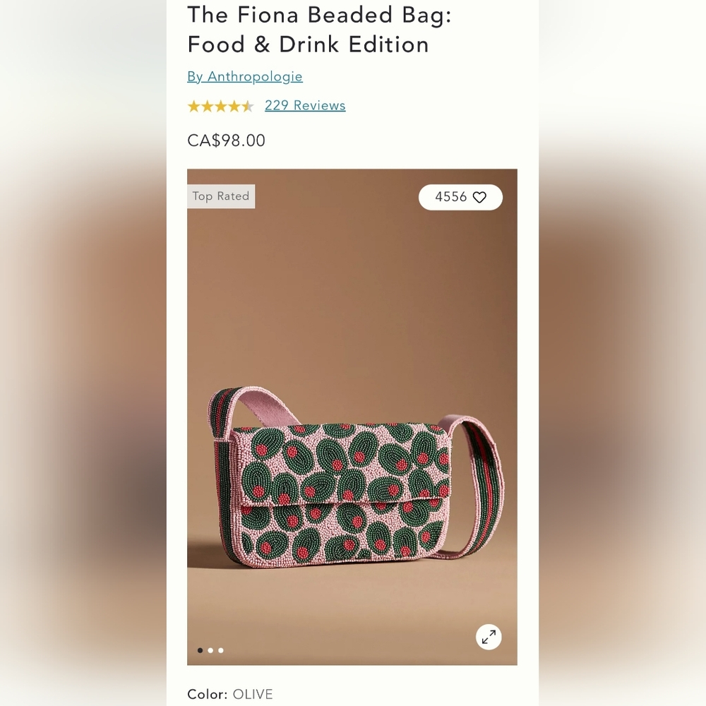 NWT Anthropologie Green and Pink Beaded Shoulder Bag